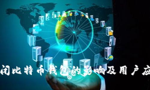 中国关闭比特币钱包的影响及用户应对策略