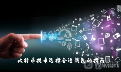 比特币提币选择合适钱包的指南