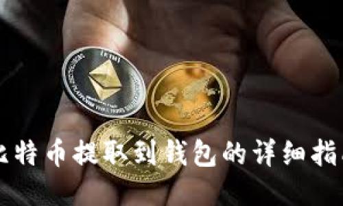 比特币提取到钱包的详细指南