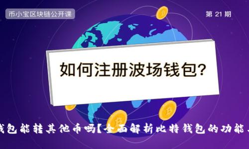 比特钱包能转其他币吗？全面解析比特钱包的功能与限制