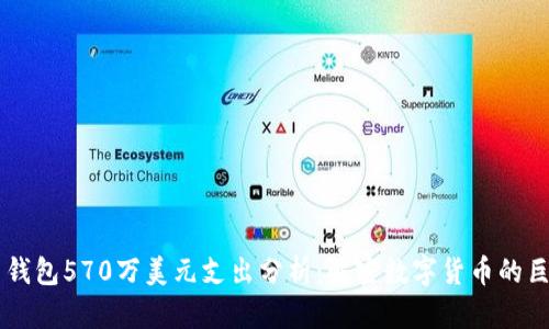 比特币钱包570万美元支出分析：解密数字货币的巨额交易