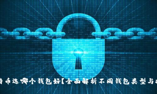 比特币选哪个钱包好？全面解析不同钱包类型与推荐
