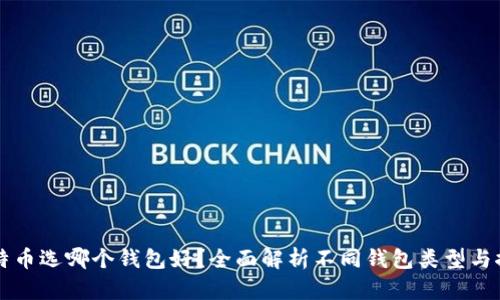 比特币选哪个钱包好？全面解析不同钱包类型与推荐