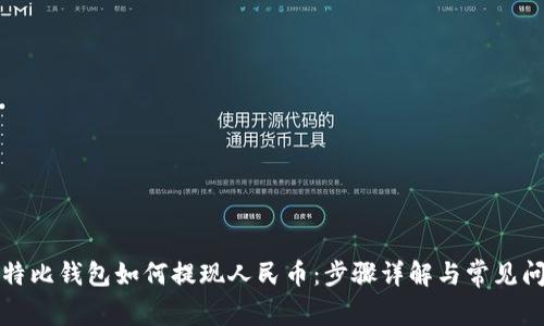 比特比钱包如何提现人民币：步骤详解与常见问题