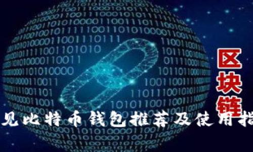 常见比特币钱包推荐及使用指南