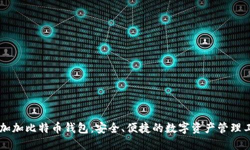 币加加比特币钱包：安全、便捷的数字资产管理工具