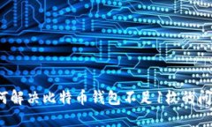 如何解决比特币钱包不足