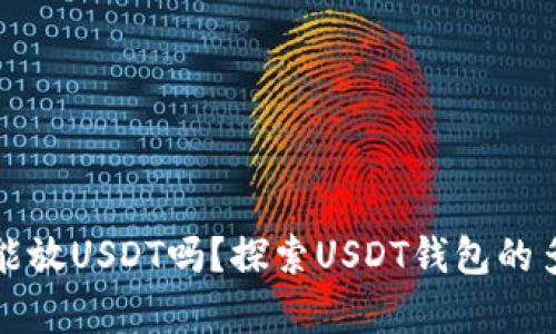 所有钱包都能放USDT吗？探索USDT钱包的多样性与选择