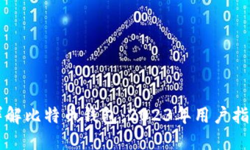 详解比特币钱包：2023年用户指南