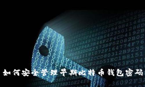如何安全管理早期比特币钱包密码