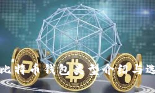 常用的比特币钱包类型介绍与选择指南