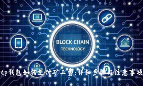 tp钱包如何支付矿工费：详细步骤与注意事项