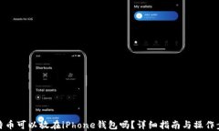 比特币可以放在iPhone钱包