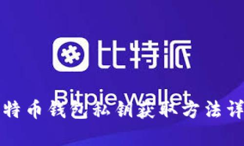 比特币钱包私钥获取方法详解