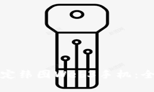如何预定纬图Web3手机：全面指南