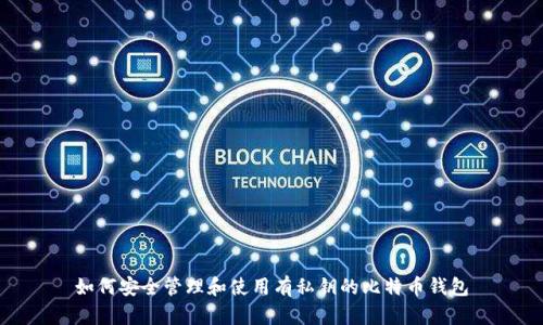 如何安全管理和使用有私钥的比特币钱包