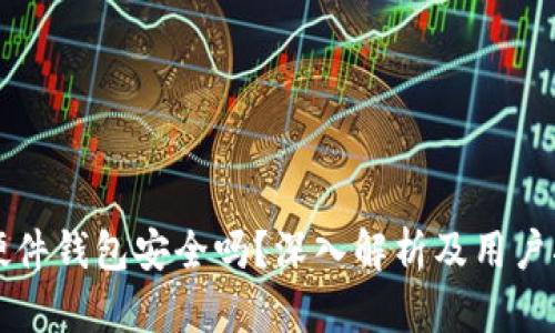 TP硬件钱包安全吗？深入解析及用户指南