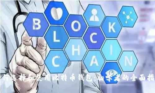 如何选择和使用比特币钱包：初学者的全面指南