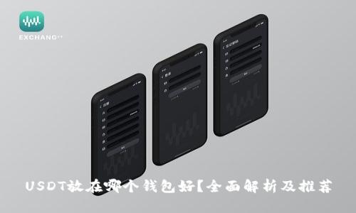 USDT放在哪个钱包好？全面解析及推荐