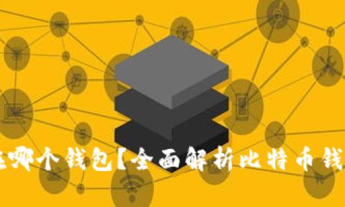 比特币可以放在哪个钱包？全面解析比特币钱包的选择与使用