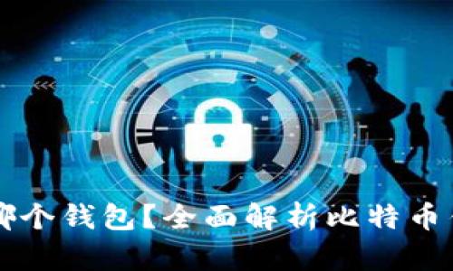 比特币可以放在哪个钱包？全面解析比特币钱包的选择与使用