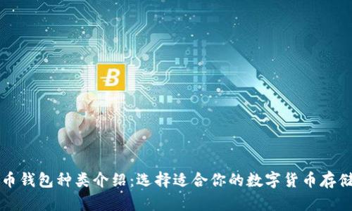比特币钱包种类介绍：选择适合你的数字货币存储方式