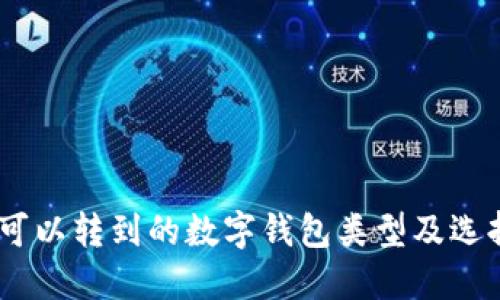 USDT可以转到的数字钱包类型及选择指南