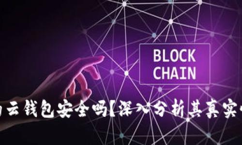 : 比特币的云钱包安全吗？深入分析其真实性与安全性