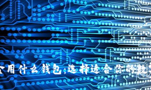比特币现金用什么钱包：选择适合你的数字货币钱包