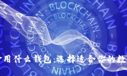 比特币现金用什么钱包：选择适合你的数字货币钱包