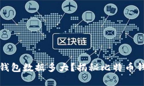 本地比特币钱包数据多大？揭秘比特币钱包存储需求