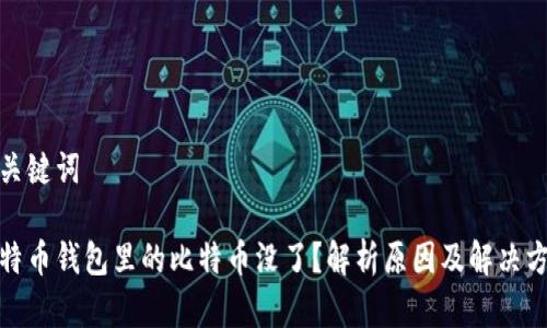 和关键词

比特币钱包里的比特币没了？解析原因及解决方案
