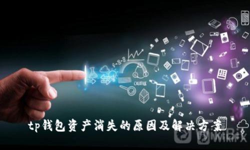 tp钱包资产消失的原因及解决方案