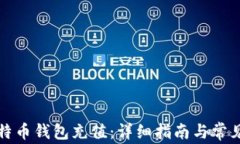 怎样向比特币钱包充值：详细指南与常见问题解
