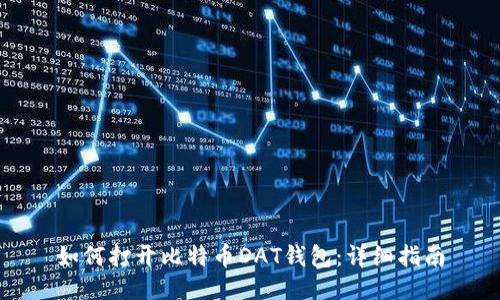 如何打开比特币DAT钱包：详细指南