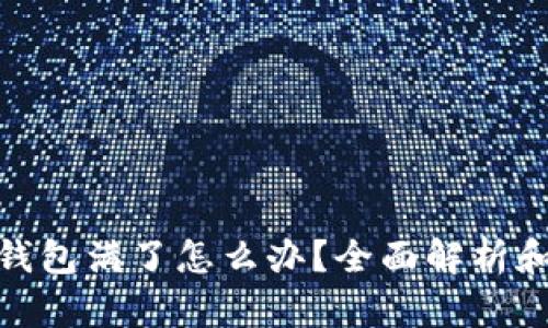 : 比特币钱包满了怎么办？全面解析和解决方案