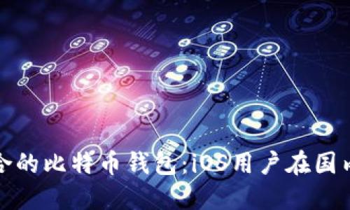 如何选择适合的比特币钱包：iOS用户在国内的最佳选择