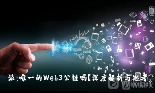 派：唯一的Web3公链吗？深度解析与思考