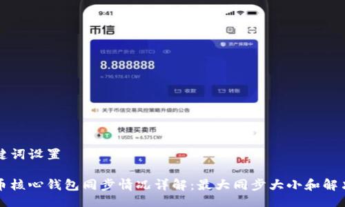 与关键词设置

比特币核心钱包同步情况详解：最大同步大小和解决方案