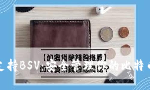 TP钱包支持BSV：安全管理你的比特币SV资产