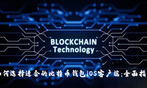 如何选择适合的比特币钱包iOS客户端：全面指南