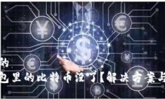 自己生成的  比特币钱包里