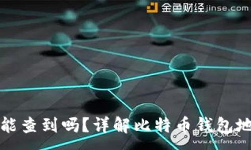 :
比特币钱包地址能查到吗？详解比特币钱包地址的查询与隐私