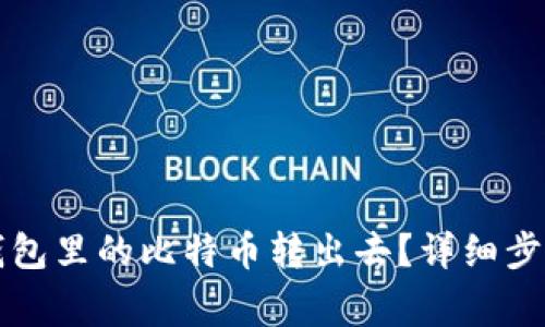 怎样把Plus钱包里的比特币转出去？详细步骤与注意事项