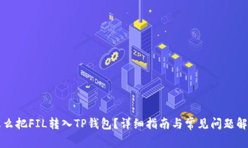 怎么把FIL转入TP钱包？详细指南与常见问题解答
